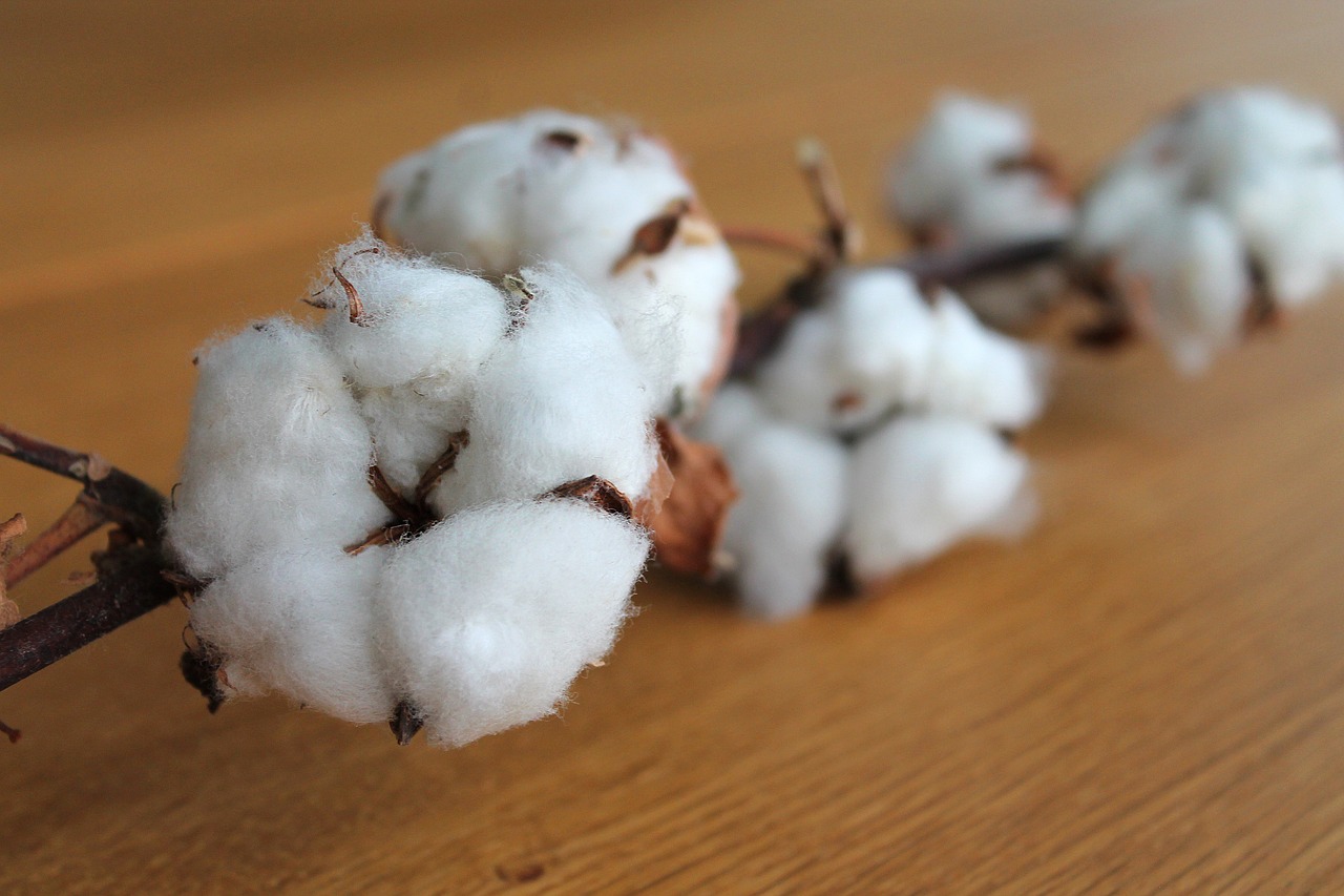 ¿Cómo se llama la tela de algodón muy fina?